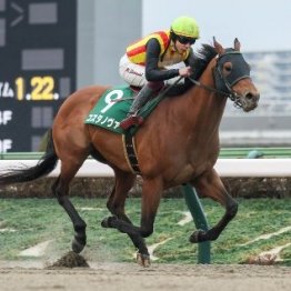 【根岸Ｓ】また田中博厩舎からダートの重賞ウイナーが出るか