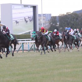 【シルクロードＳ】上位人気は強いが１番人気は…