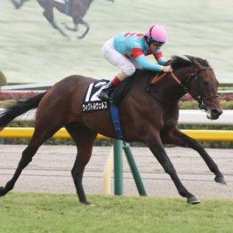 【市川の土曜競馬コラム・白富士Ｓ】