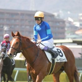 【橘の土曜競馬コラム・巌流島Ｓ】