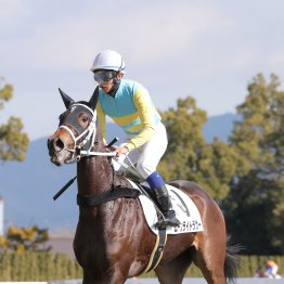 【大阪本紙・弘中の土曜京都12Ｒ】