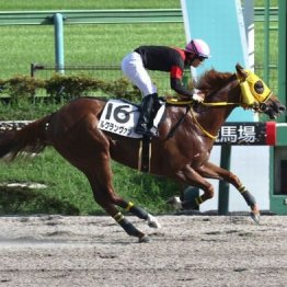 【東京本紙・外山の土曜東京９Ｒ】