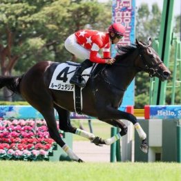 【東京本紙・外山の土曜東京10Ｒ】