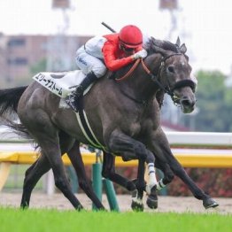 【東京本紙・外山の土曜東京12Ｒ】