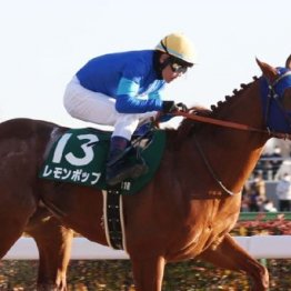 【注目重賞／データで買う・根岸Ｓ】