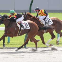 【大阪本紙・弘中の日曜京都９Ｒ】