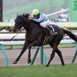 【大阪本紙・弘中の日曜京都10Ｒ】