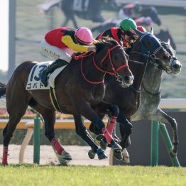 【レスキュー隊の日曜競馬コラム・東京12Ｒ】