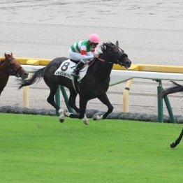 【東京本紙・外山の日曜東京９Ｒ】