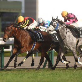 【東京本紙・外山の日曜東京10Ｒ】