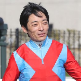 【根岸Ｓ】◎インユアパレス　先週に続いて強力な◎○の２頭　今週こそ大漁だ！