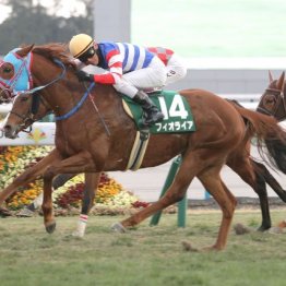 【シルクロードＳ】16番人気フィオライアがＶで３連単は２４３万の大波乱