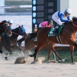 【根岸Ｓ】昨年②着のロードフォンスが今年はＶ