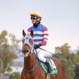 【シルクロードＳ】レース後の談話（ネットオリジナルを含む）