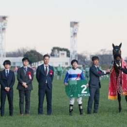 【根岸Ｓ】レース後の談話（ネットオリジナルを含む）