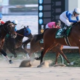 【根岸Ｓ】昨年の②着馬ロードフォンス快勝