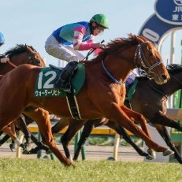 【東京新聞杯】主力はマイルＣＳのひとケタ着順馬