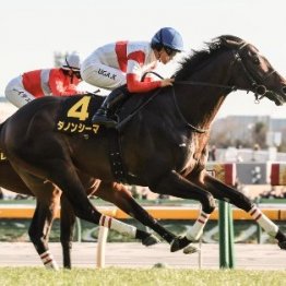 いかにも東京開幕週らしい逃げ切りが連発