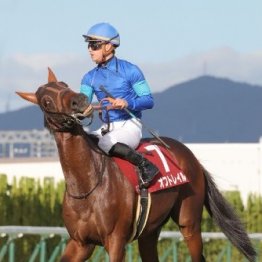 【東京新聞杯】オフトレイル好発進決める