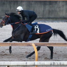 【きさらぎ賞】調教マル得チェック
