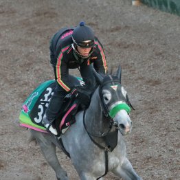 【きさらぎ賞】調教マル得チェック