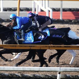 【東京新聞杯】調教マル得チェック①