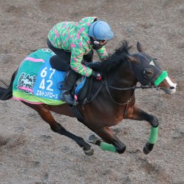 【東京新聞杯】調教マル得チェック①