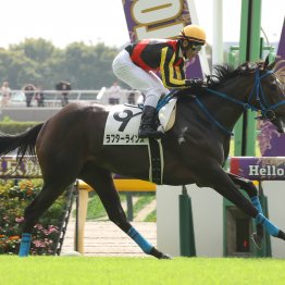 ＷＩＮ５キャリーオーバー発生中　今週の２重賞で高配当の使者となるのはこれ