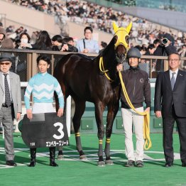 【東京新聞杯】強い４歳世代がここでも エンペラーズソード重賞奪取だ