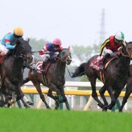 【大谷の土曜競馬コラム・早春Ｓ】