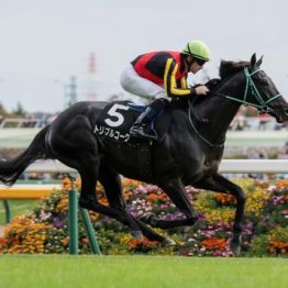 【武田の土曜競馬コラム・早春Ｓ】