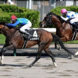 【橘の土曜競馬コラム・豊前Ｓ】