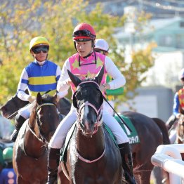 【藤岡の土曜競馬コラム・アルデバランＳ】