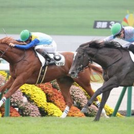 【東京本紙・外山の土曜東京９Ｒ】