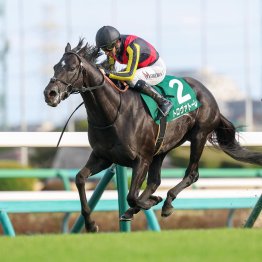 【亀井の日曜競馬コラム・東京新聞杯】