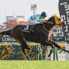 【飯島の日曜競馬コラム・東京新聞杯】