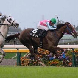 【木津の日曜競馬コラム・初音Ｓ】