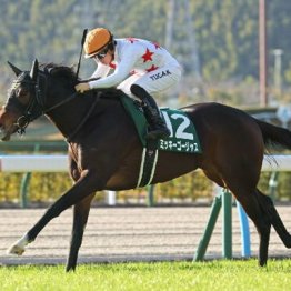 【橘の日曜競馬コラム・東京新聞杯】