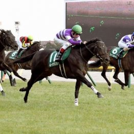 【注目重賞／データで買う・東京新聞杯】