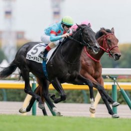 【東京本紙・外山の日曜東京９Ｒ】