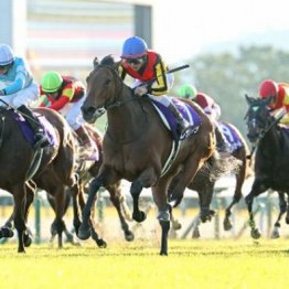 【東京本紙・外山の日曜東京10Ｒ】