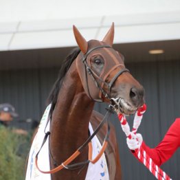 【東京新聞杯】オフトレイルいざマイル路線の主役に