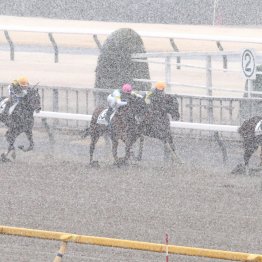 【京都、東京競馬が雪で中止】京都は月曜、東京は火曜競馬への代替で生まれる遠征馬の調整の難しさ