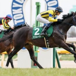 【共同通信杯】東のクラシック登竜門に素質馬揃う