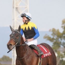 【京都記念】伝統の一戦に好メンバーが集結