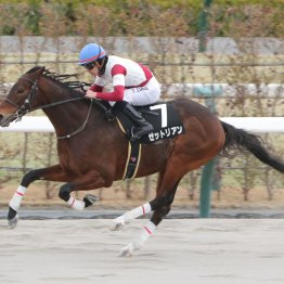 雪の影響で重賞がスライド　それなら重賞以外のレースを振り返ろう