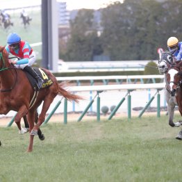 雪の影響で重賞がスライド　それなら重賞以外のレースを振り返ろう