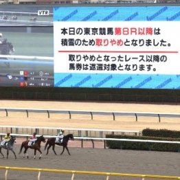 日曜の東京、京都が順延　大雪がもたらした影響はこんなにも