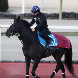 【京都記念】エリキング勝ってＧⅠ取りへ