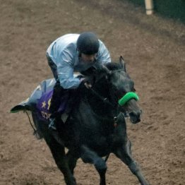 【共同通信杯】調教マル得チェック